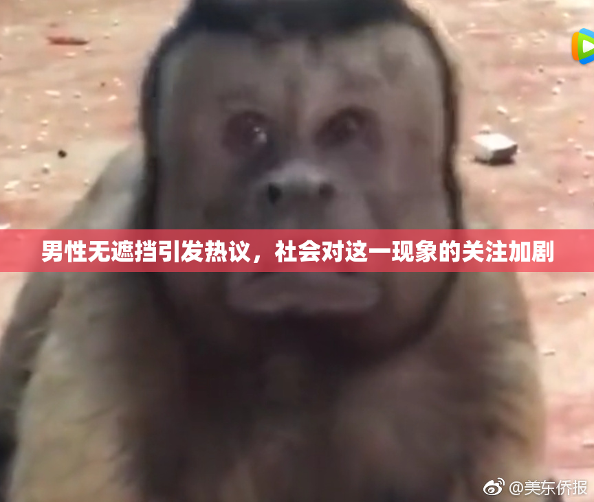 男性无遮挡引发热议，社会对这一现象的关注加剧