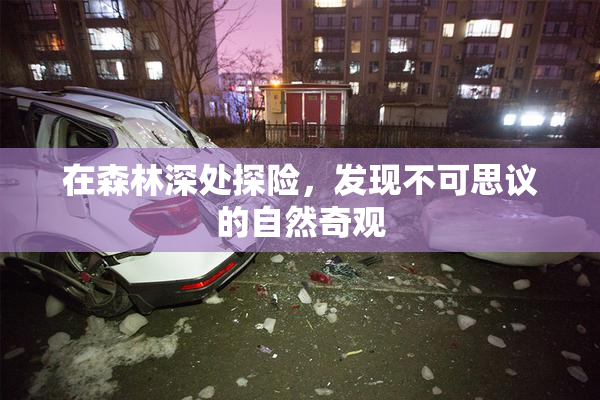 在森林深处探险，发现不可思议的自然奇观
