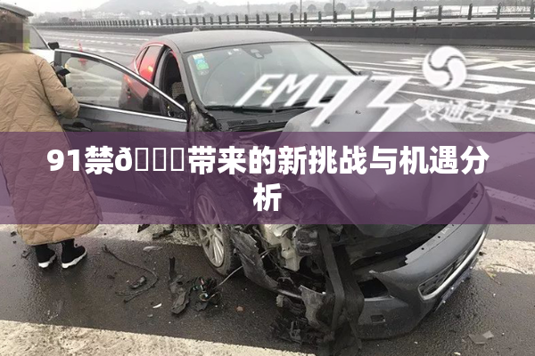 91禁🍆带来的新挑战与机遇分析