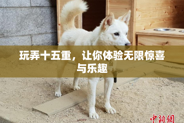 玩弄十五重，让你体验无限惊喜与乐趣