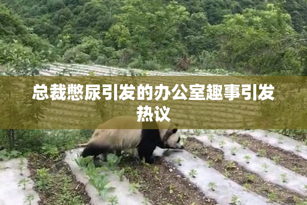 总裁憋尿引发的办公室趣事引发热议
