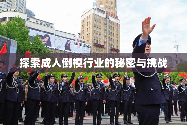 探索成人倒模行业的秘密与挑战