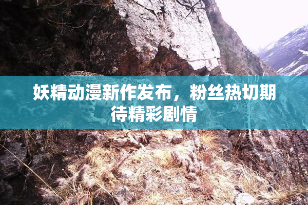 妖精动漫新作发布，粉丝热切期待精彩剧情