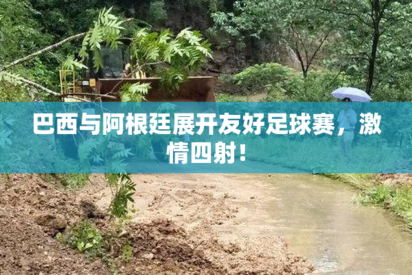 巴西与阿根廷展开友好足球赛，激情四射！