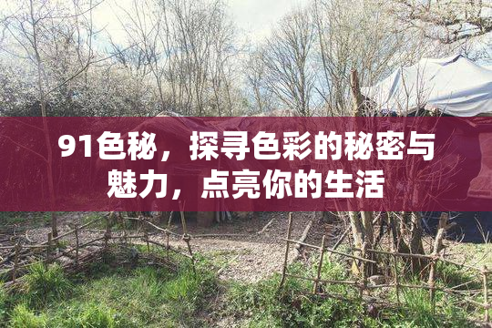 91色秘，探寻色彩的秘密与魅力，点亮你的生活