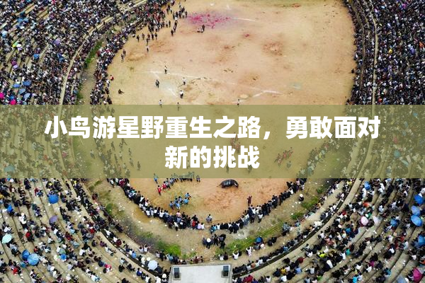 小鸟游星野重生之路，勇敢面对新的挑战