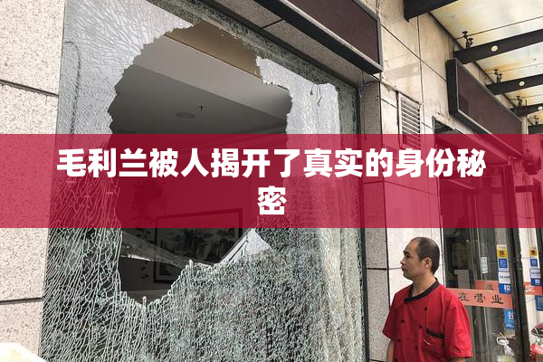 毛利兰被人揭开了真实的身份秘密