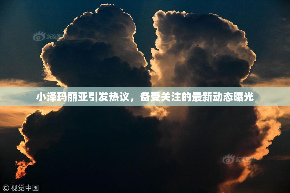 小泽玛丽亚引发热议，备受关注的最新动态曝光