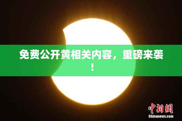 免费公开黄相关内容，重磅来袭！