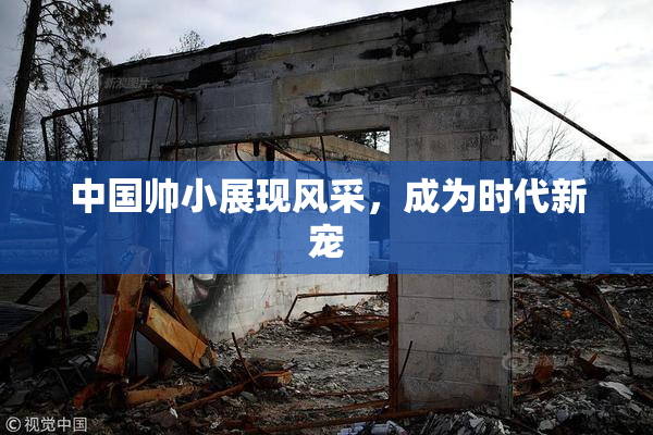 中国帅小展现风采，成为时代新宠