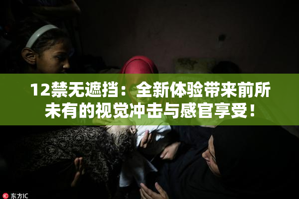 12禁无遮挡：全新体验带来前所未有的视觉冲击与感官享受！
