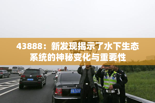 43888：新发现揭示了水下生态系统的神秘变化与重要性