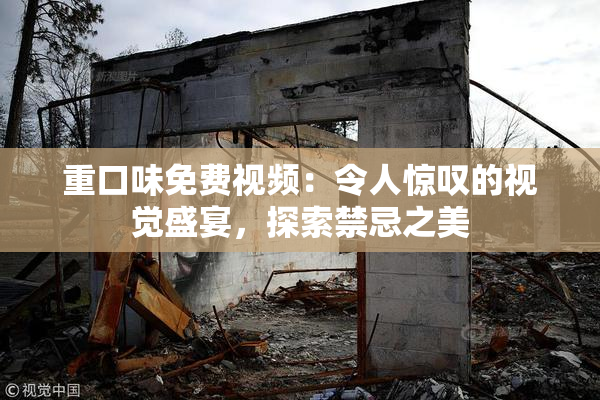 重口味免费视频：令人惊叹的视觉盛宴，探索禁忌之美