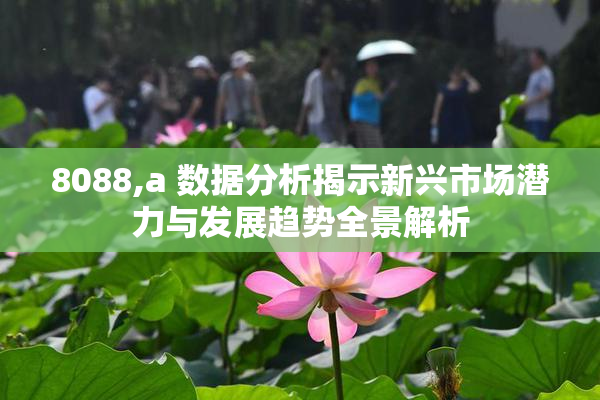 8088,a 数据分析揭示新兴市场潜力与发展趋势全景解析