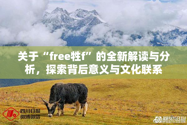 关于“free牲f”的全新解读与分析，探索背后意义与文化联系