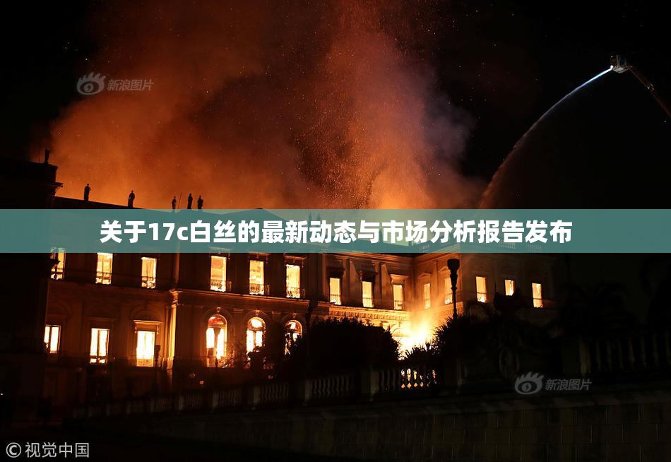 关于17c白丝的最新动态与市场分析报告发布