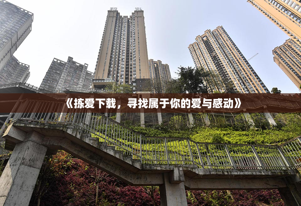 《拣爱下载，寻找属于你的爱与感动》
