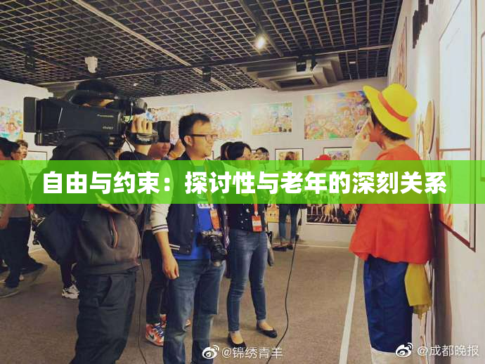 自由与约束：探讨性与老年的深刻关系