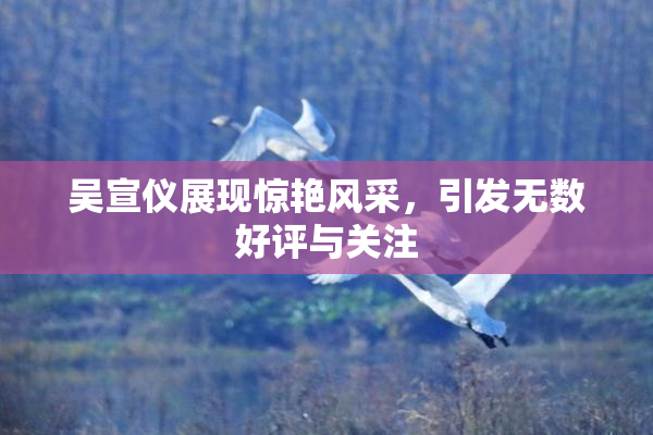 吴宣仪展现惊艳风采，引发无数好评与关注