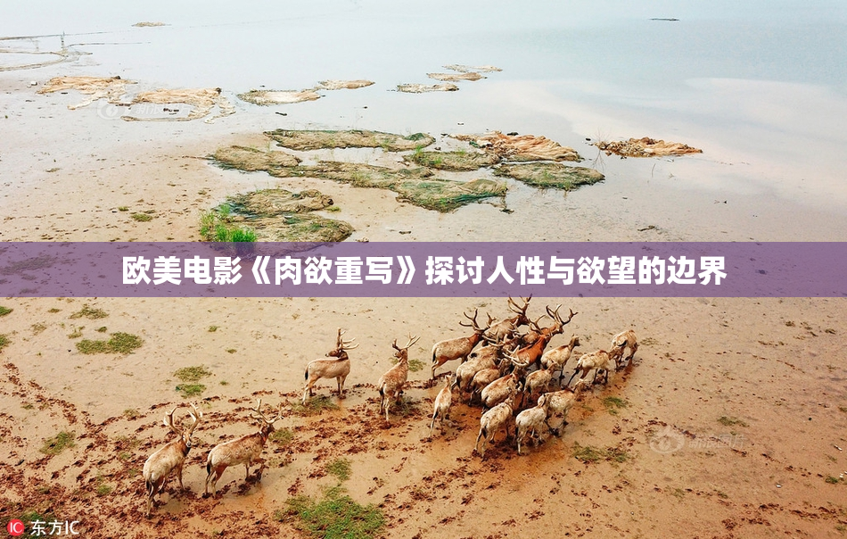 欧美电影《肉欲重写》探讨人性与欲望的边界