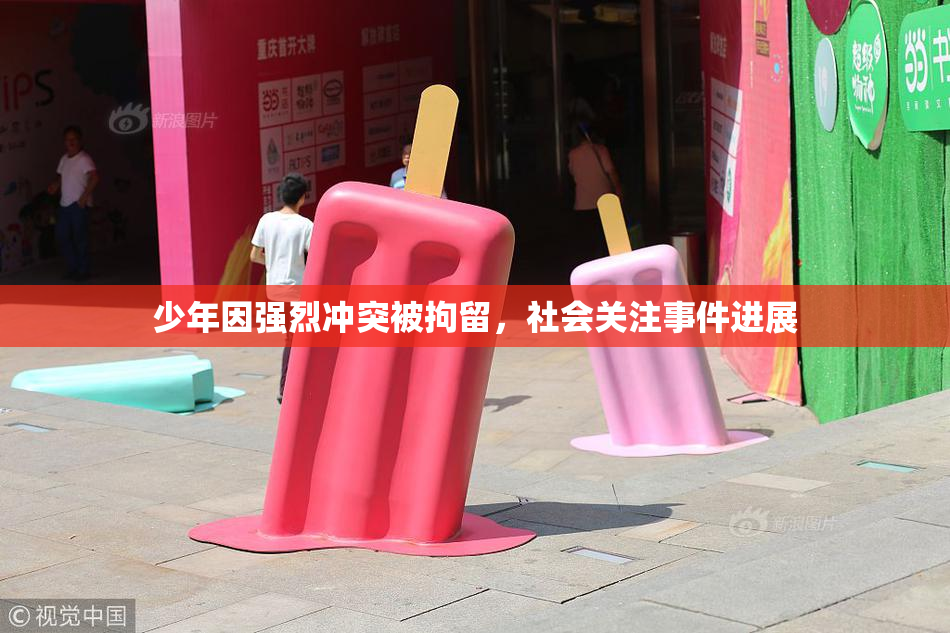少年因强烈冲突被拘留，社会关注事件进展