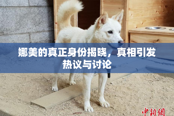 娜美的真正身份揭晓，真相引发热议与讨论