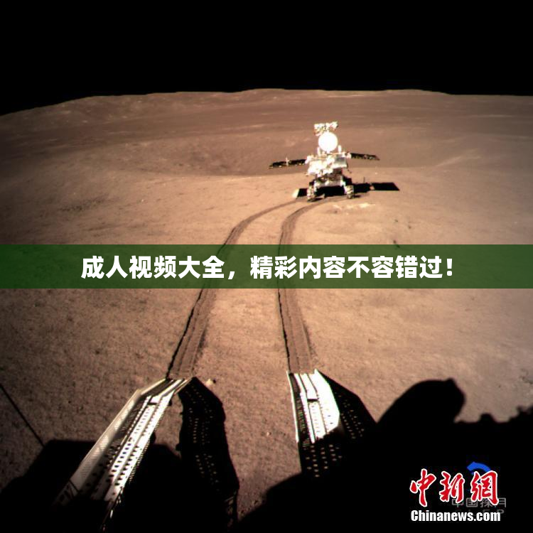 成人视频大全，精彩内容不容错过！
