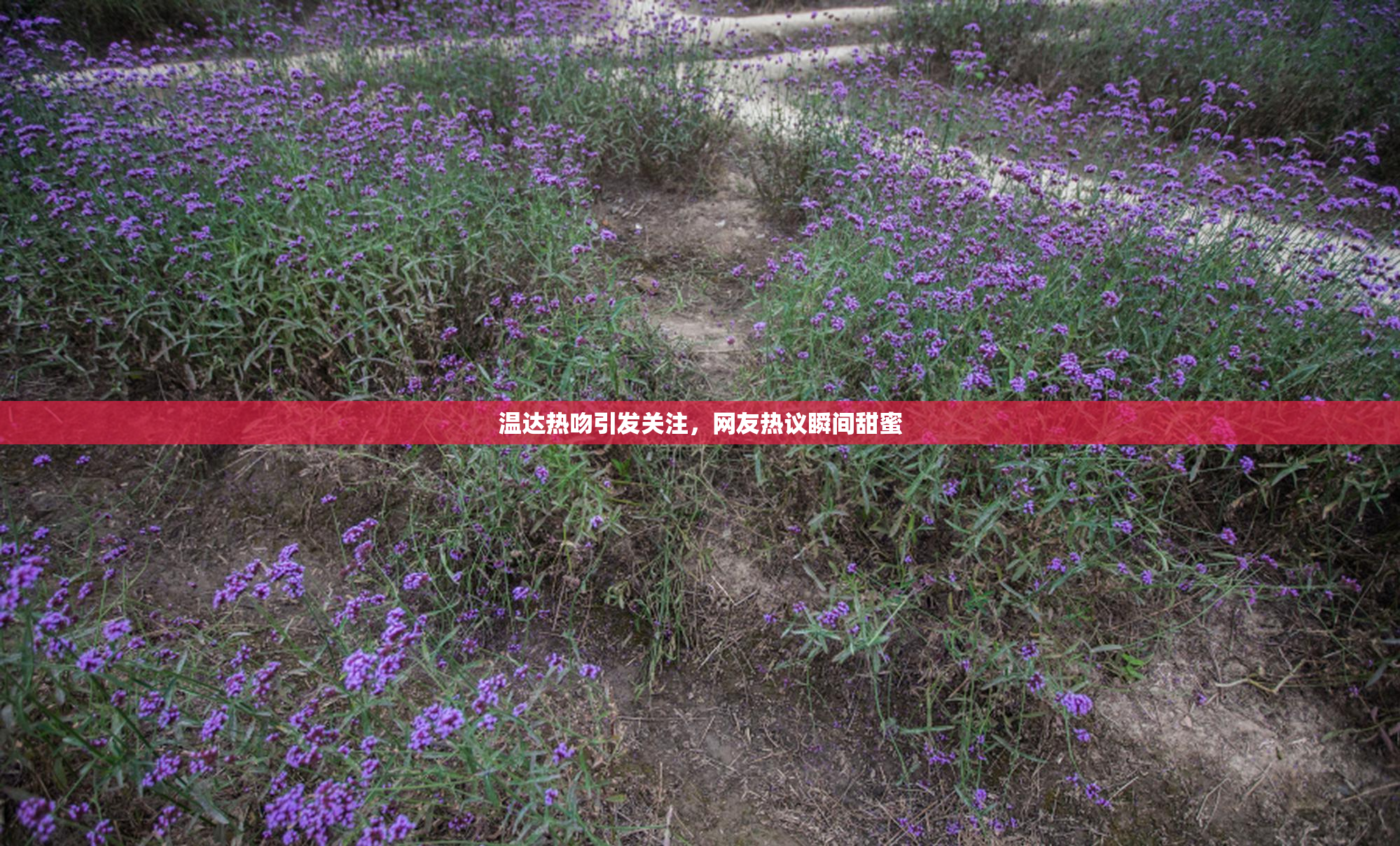 温达热吻引发关注，网友热议瞬间甜蜜