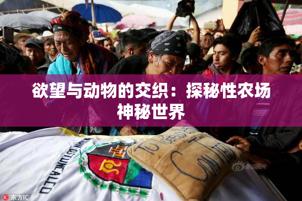 欲望与动物的交织：探秘性农场神秘世界