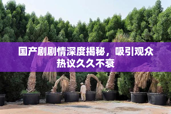 国产剧剧情深度揭秘，吸引观众热议久久不衰
