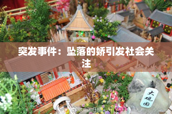 突发事件：坠落的娇引发社会关注