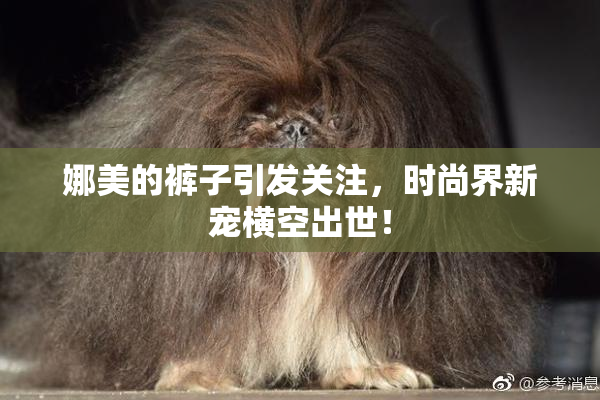 娜美的裤子引发关注，时尚界新宠横空出世！