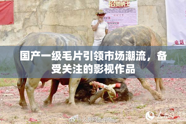 国产一级毛片引领市场潮流，备受关注的影视作品