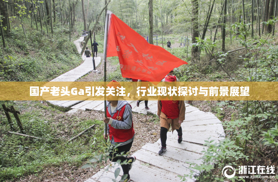 国产老头Ga引发关注，行业现状探讨与前景展望