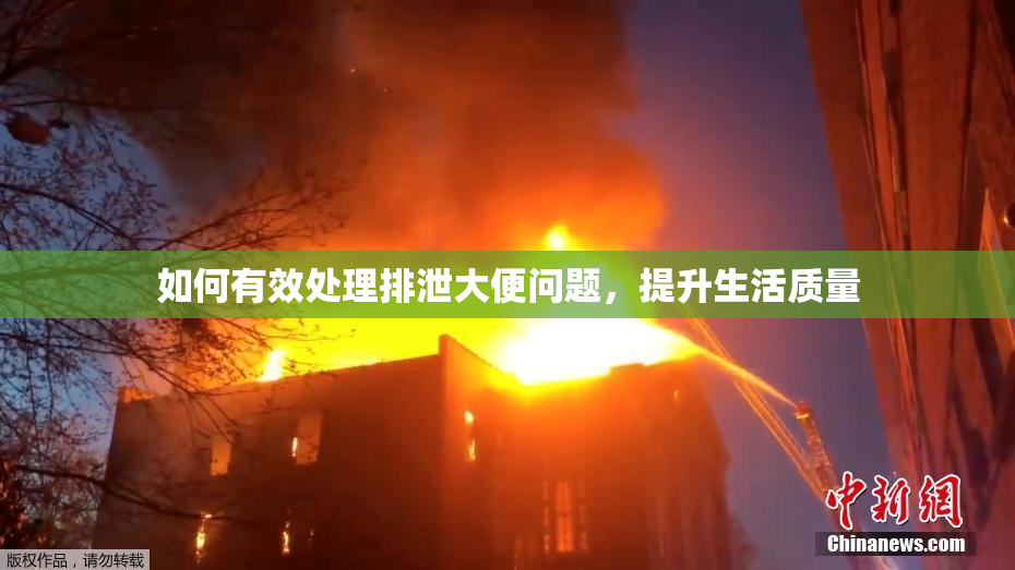 如何有效处理排泄大便问题，提升生活质量