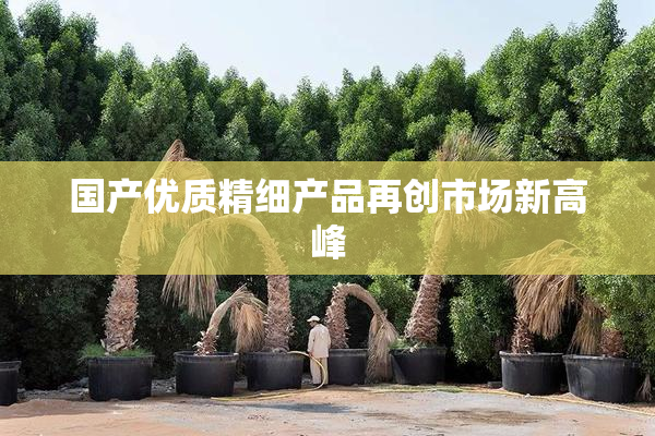 国产优质精细产品再创市场新高峰