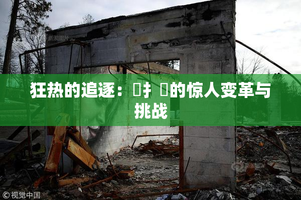 狂热的追逐：喿扌畐的惊人变革与挑战