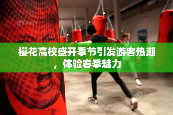 樱花高校盛开季节引发游客热潮，体验春季魅力