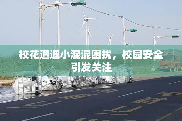 校花遭遇小混混困扰，校园安全引发关注