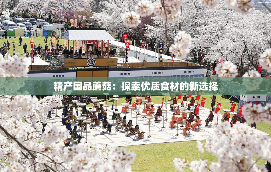 精产国品蘑菇：探索优质食材的新选择