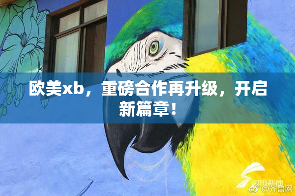 欧美xb，重磅合作再升级，开启新篇章！