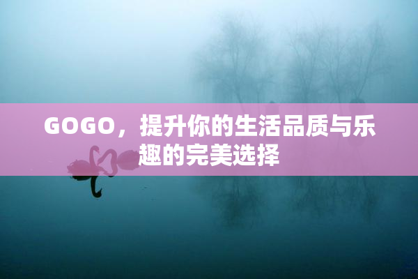 GOGO，提升你的生活品质与乐趣的完美选择