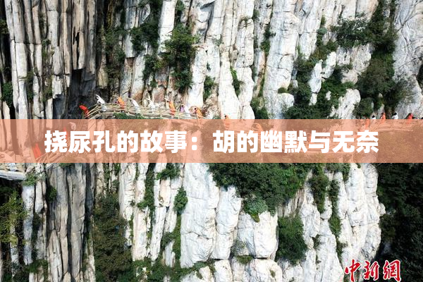 挠尿孔的故事：胡的幽默与无奈