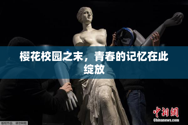 樱花校园之末，青春的记忆在此绽放