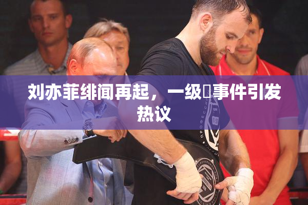 刘亦菲绯闻再起，一级婬事件引发热议