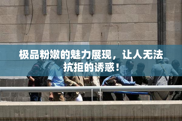 极品粉嫩的魅力展现，让人无法抗拒的诱惑！