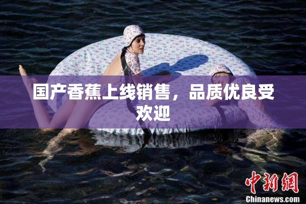 国产香蕉上线销售，品质优良受欢迎