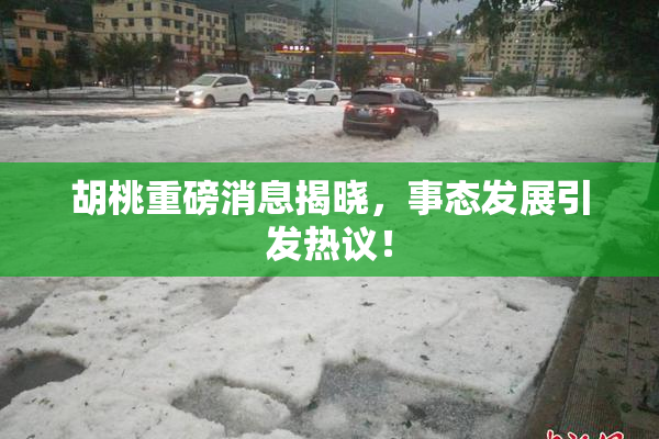 胡桃重磅消息揭晓，事态发展引发热议！
