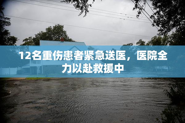 12名重伤患者紧急送医，医院全力以赴救援中