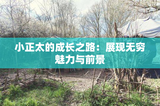 小正太的成长之路：展现无穷魅力与前景